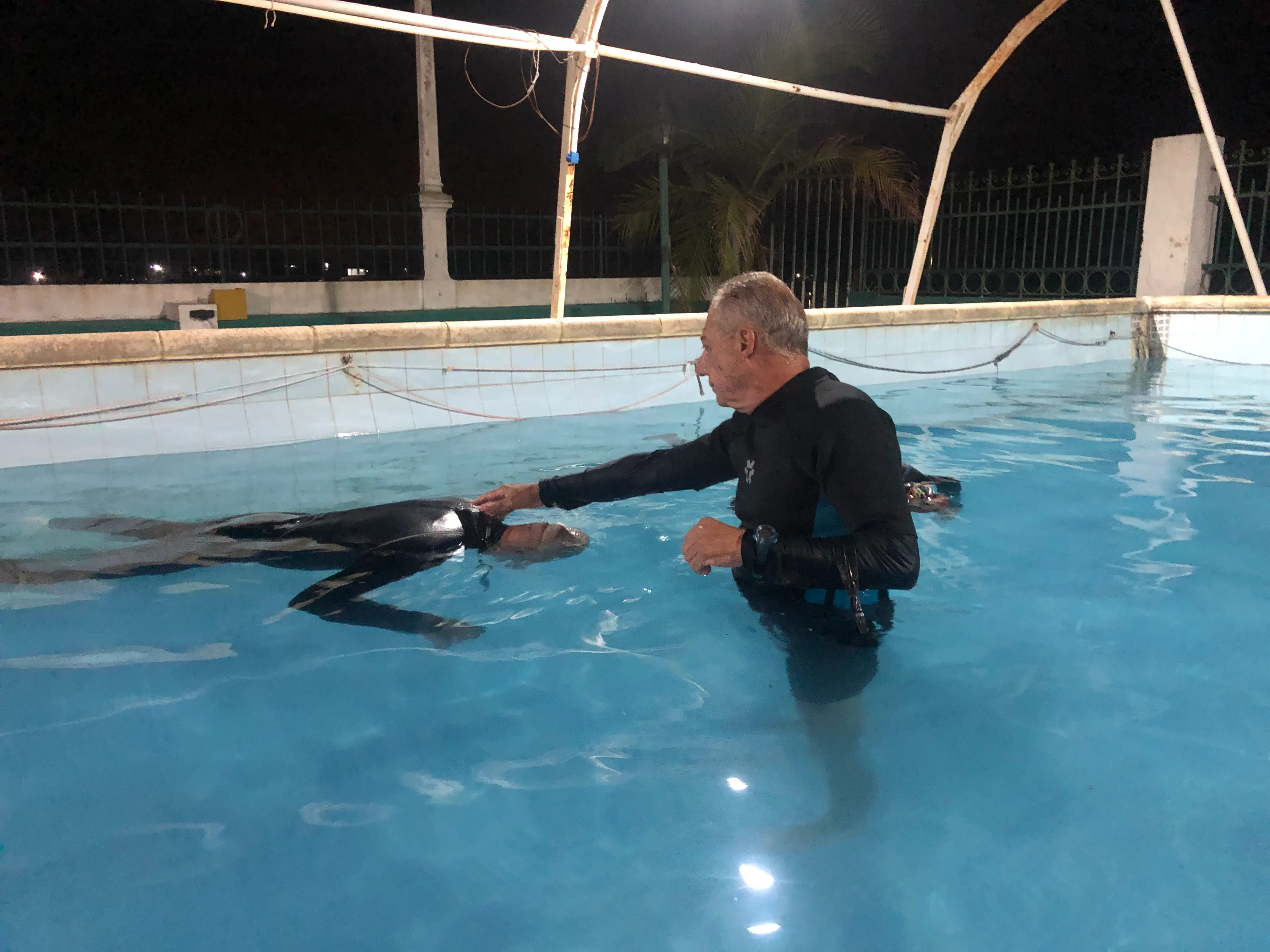 Instructor corrigiendo la técnica de un alumno en pileta